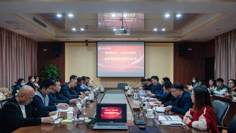 揭秘媒介投放：品牌排名背后的逻辑与策略