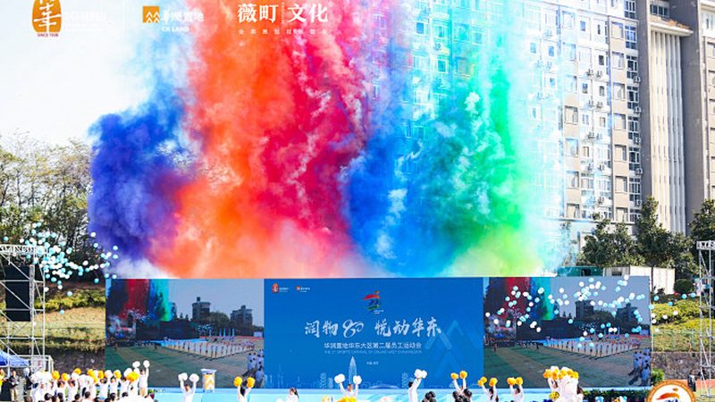 VI设计合同纠纷案例分析：如何规避潜在风险